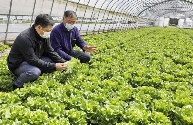 开门迎客！金山这家便民微菜场实现自产自销，打造“家门口”的新鲜直供
