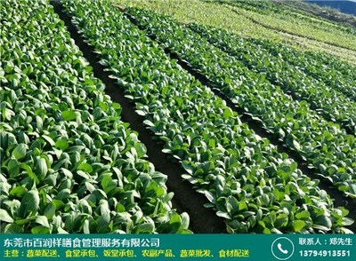 一站式指南 东城蔬菜配送公司服务认证办理与百润祥膳食的农副产品种植